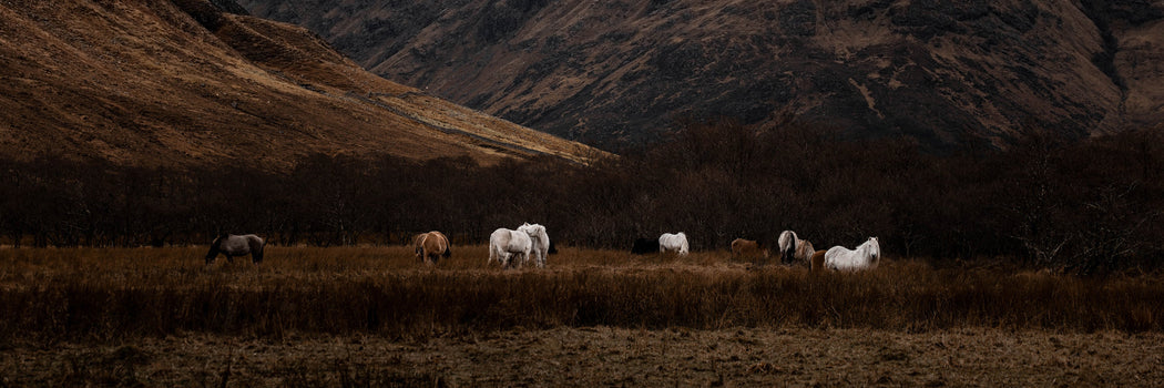 "Spirits of the Highlands"