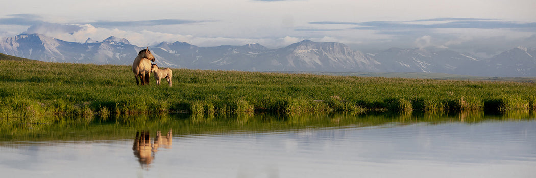 "Wide Open Spaces"