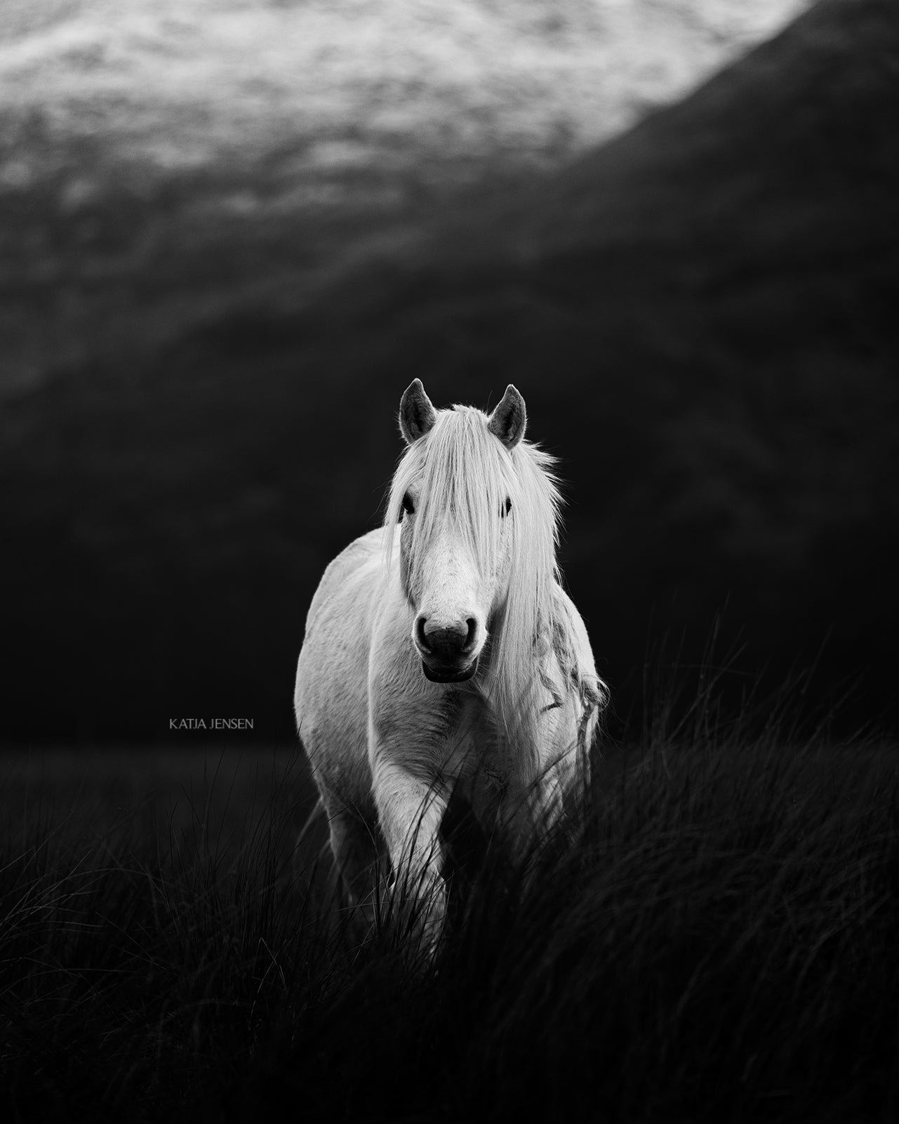 Fleeting Freedom Katja Jensen Photography fleeting-freedom-katja-jensen-photography