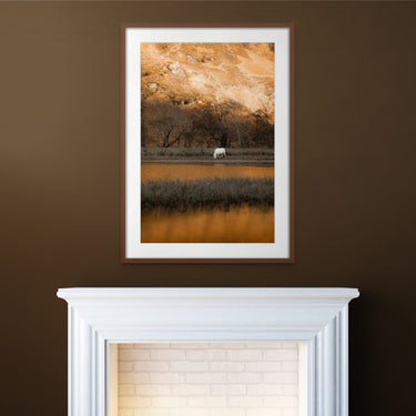 "Golden Glow"