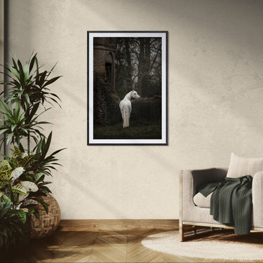 "The Last Unicorn"