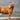Brown horse standing on a red grassy field with mountains in the background