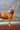 Brown horse standing on a red grassy field with mountains in the background