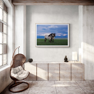 "Mountain Musings"