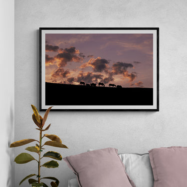 "Silhouette Stories"