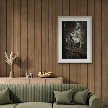 "King of the Forest"