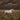 PHOTO PRESETS | "Stories of Scotland"